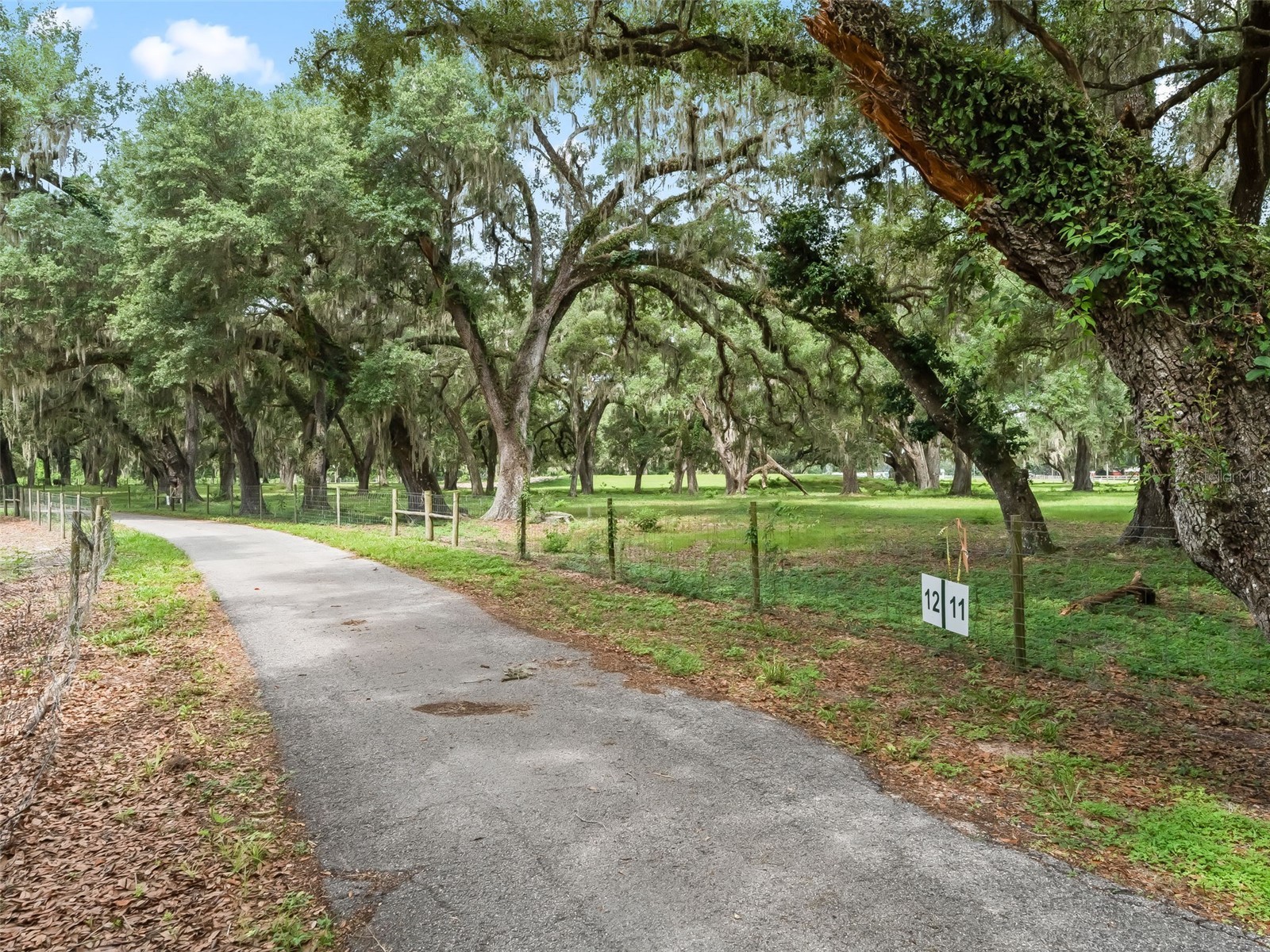 Lot 12 Cr 543 Bushnell FL 33513 TB8523193 image2