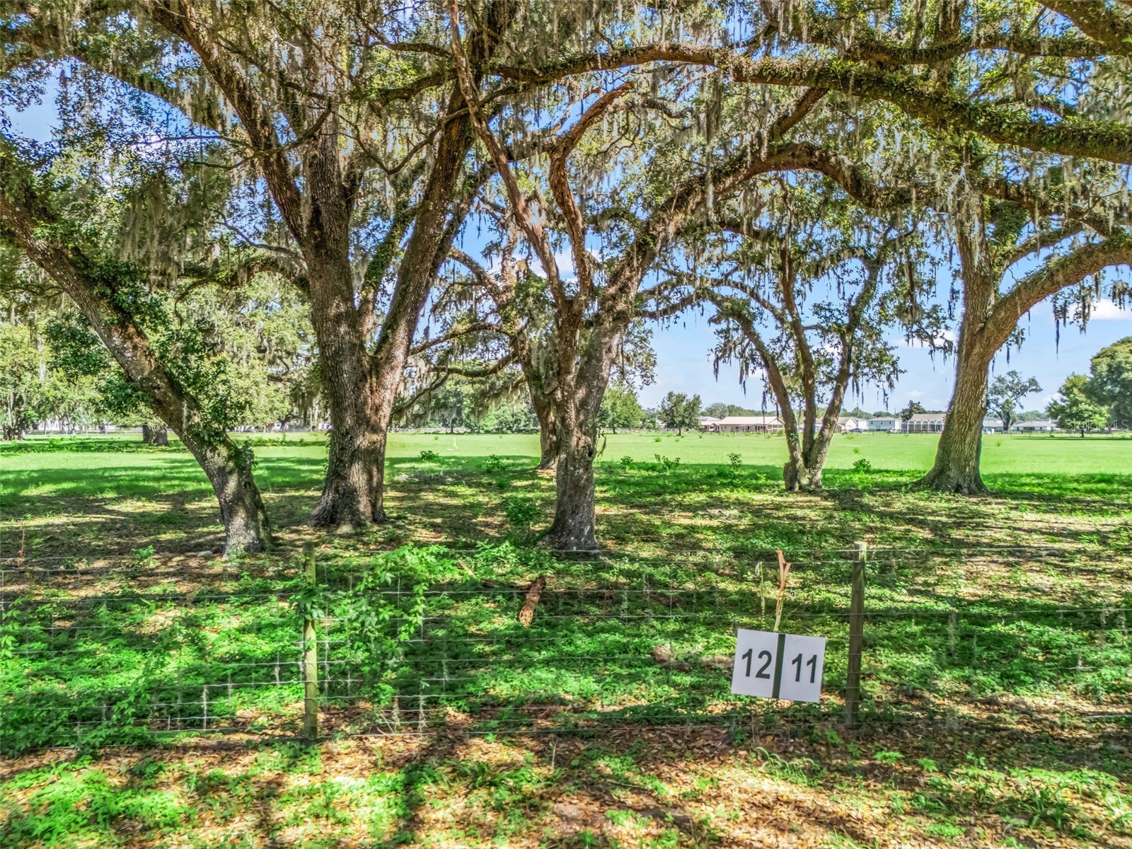 Lot 12 Cr 543 Bushnell FL 33513 TB8523193 image3