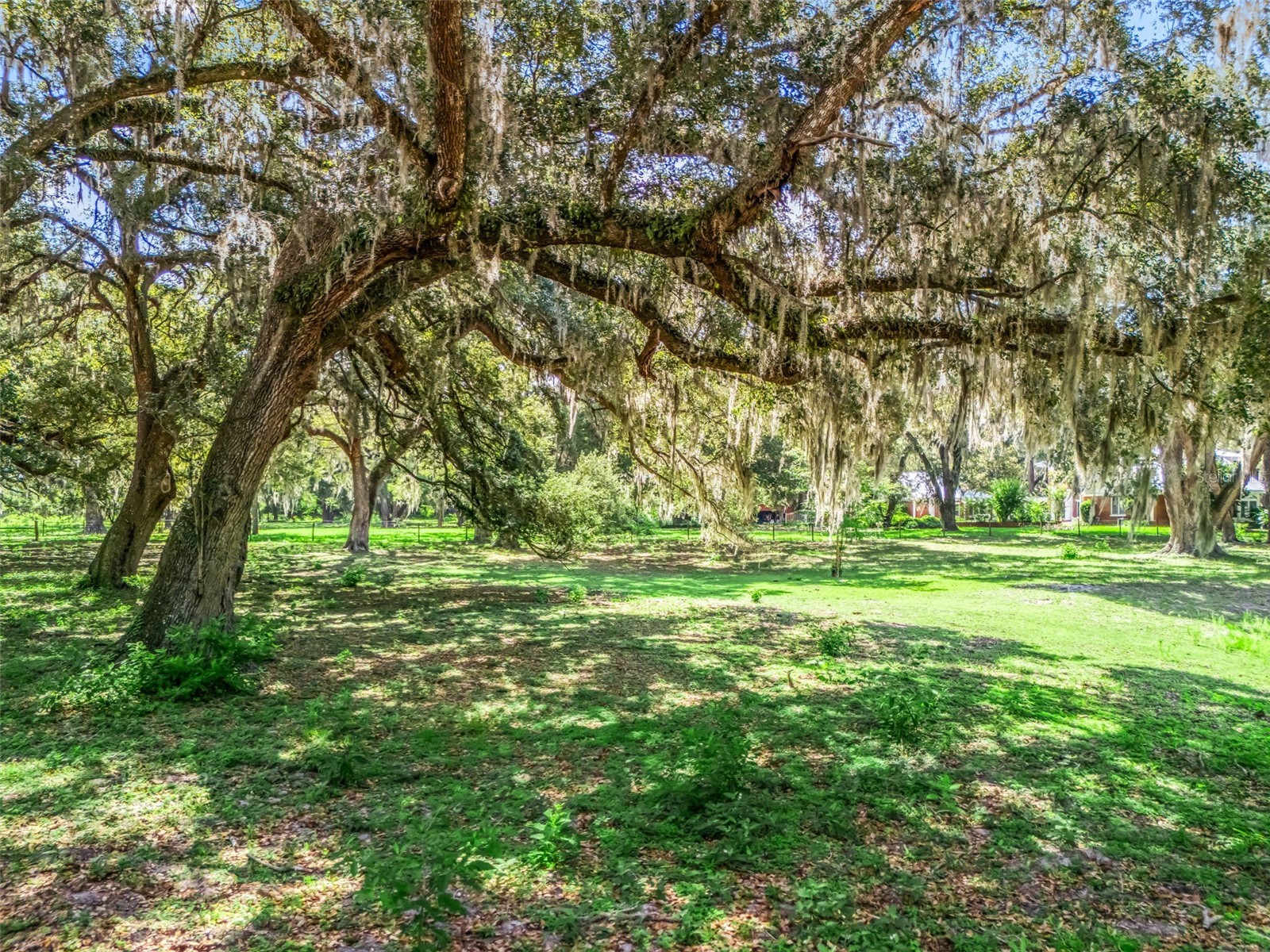 Lot 12 Cr 543 Bushnell FL 33513 TB8523193 image4
