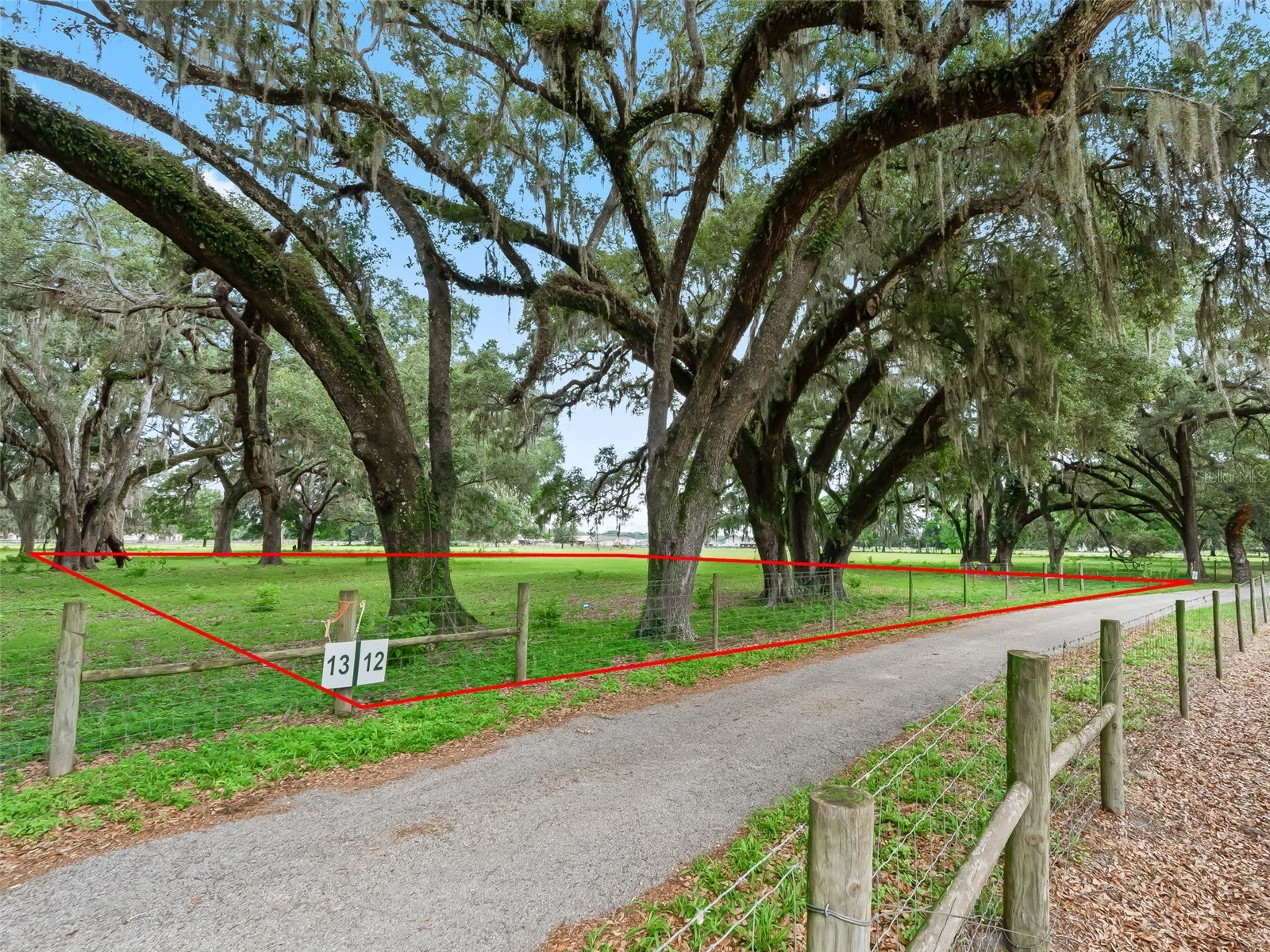 Lot 12 Cr 543 Bushnell FL 33513 TB8523193 image5