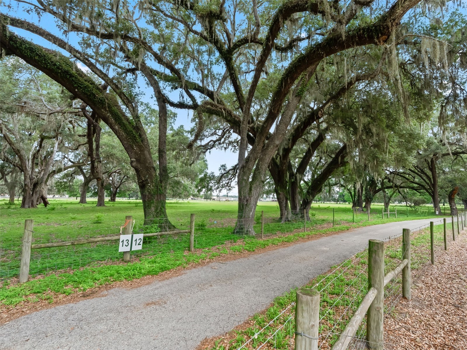 Lot 12 Cr 543 Bushnell FL 33513 TB8523193 image6