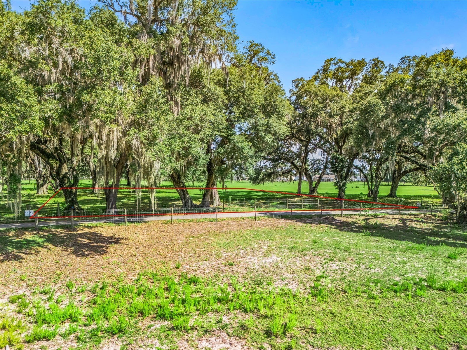 Lot 12 Cr 543 Bushnell FL 33513 TB8523193 image7