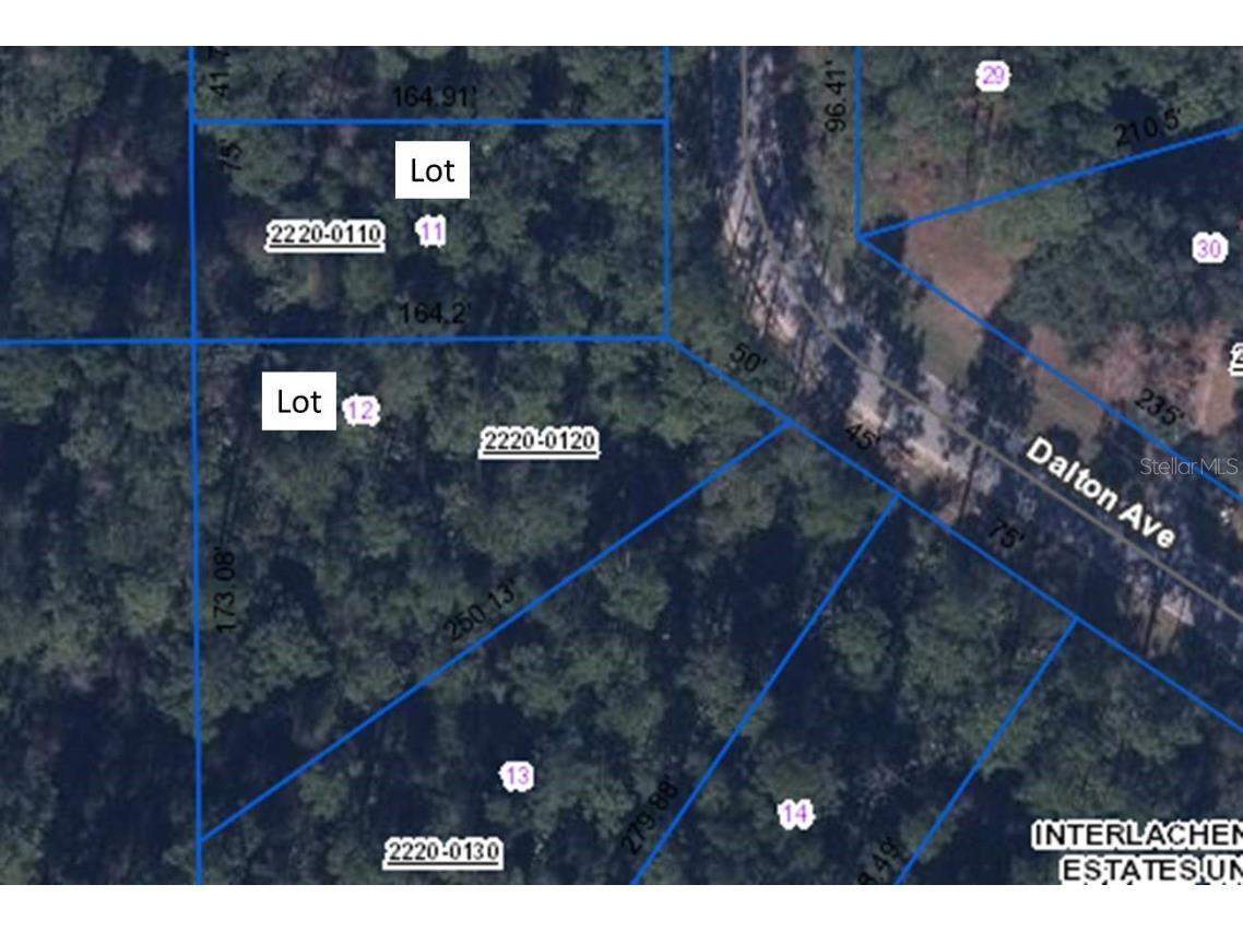 Lot 12 Dalton Avenue Interlachen FL 32148 OM661626 image1