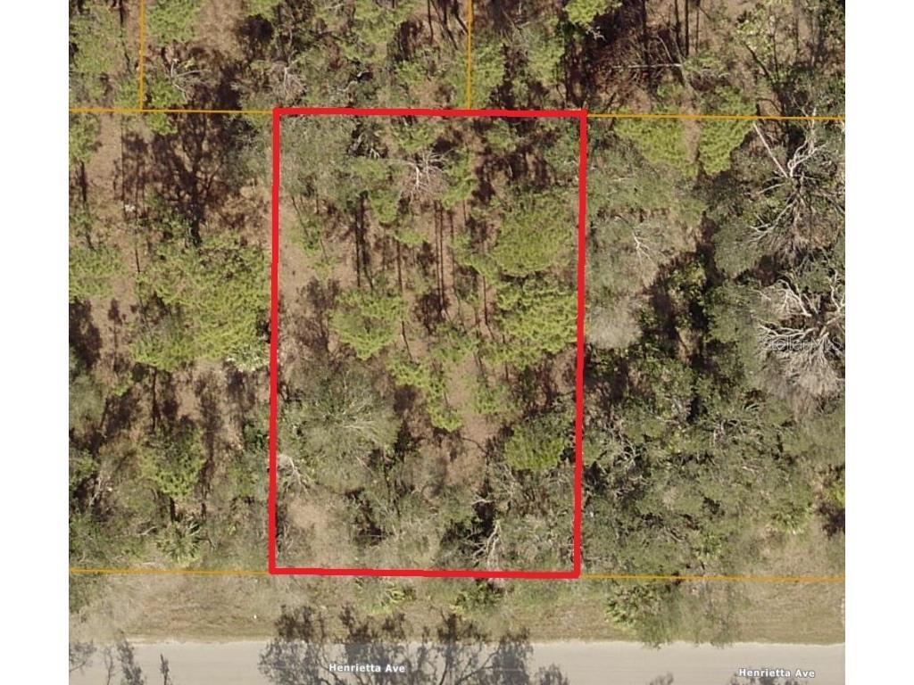 Lot 12 Henrietta Avenue North Port FL 34291 C7487720 image1