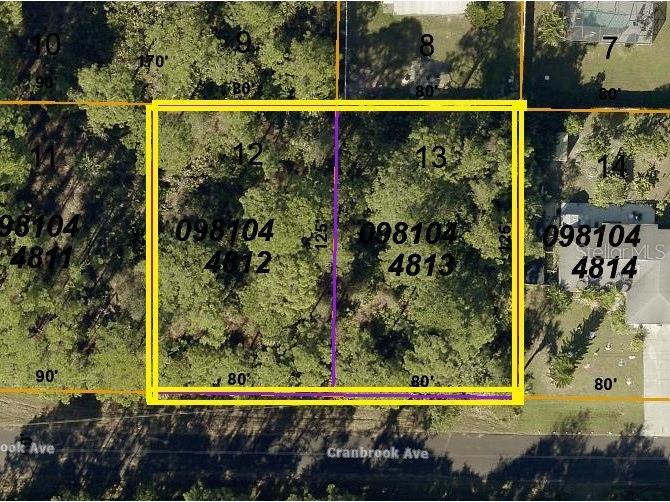 Lot 12 & Lot 13 Cranbrook Avenue North Port FL 34286 C7473257 image1