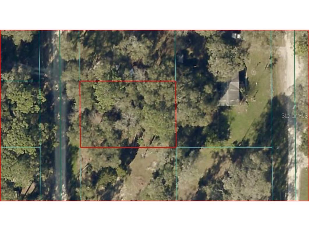 Lot 12 NW 136 Terrace Ocala FL 34482 OM725284 image2