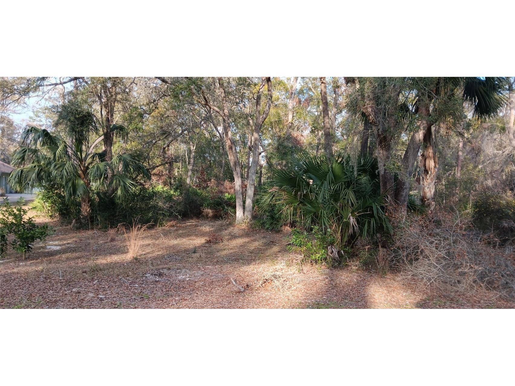 Lot 12 NW 70 Circle NW Chiefland FL 32626 GC528727 image4