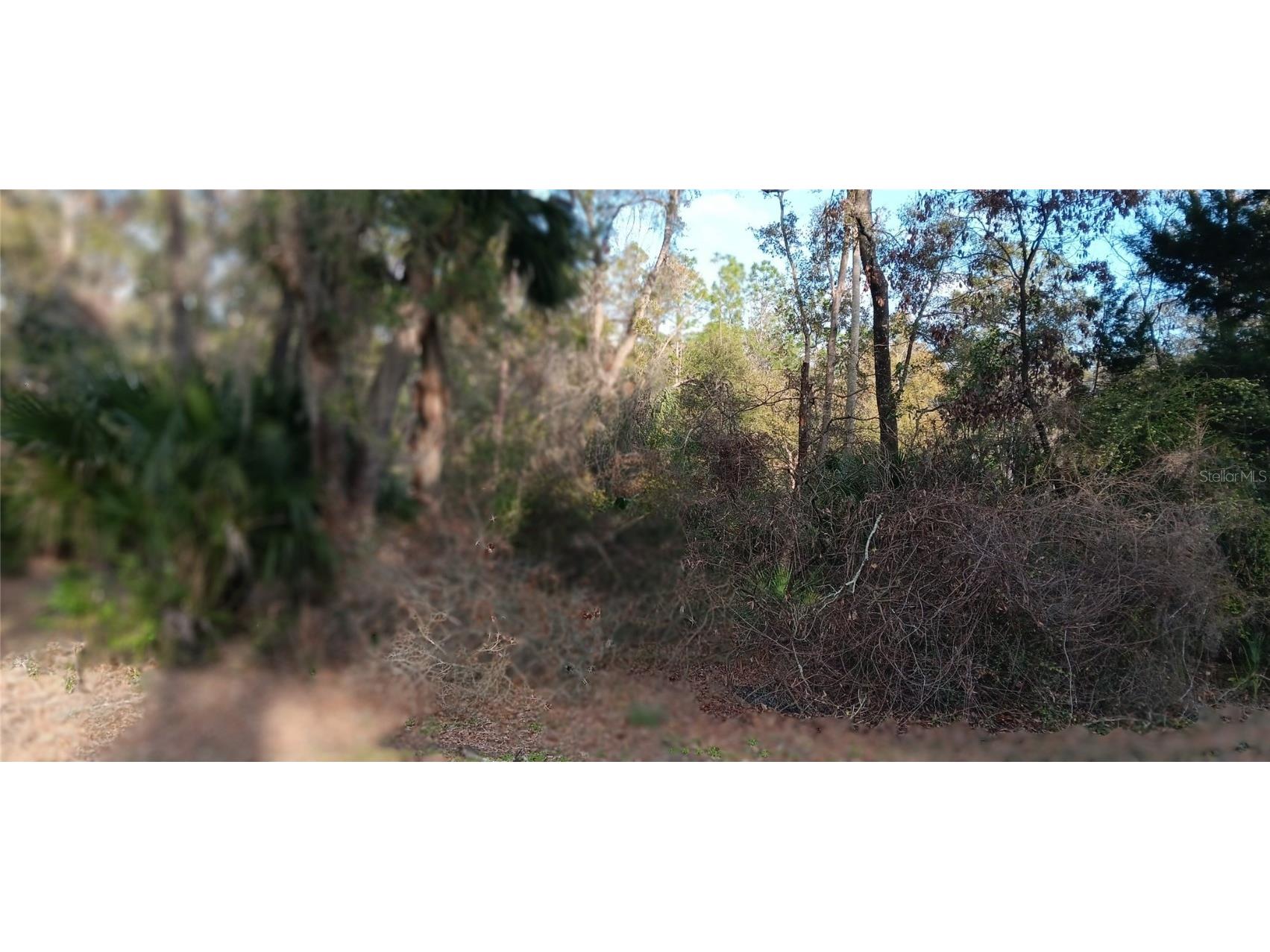 Lot 12 NW 70 Circle NW Chiefland FL 32626 GC528727 image7