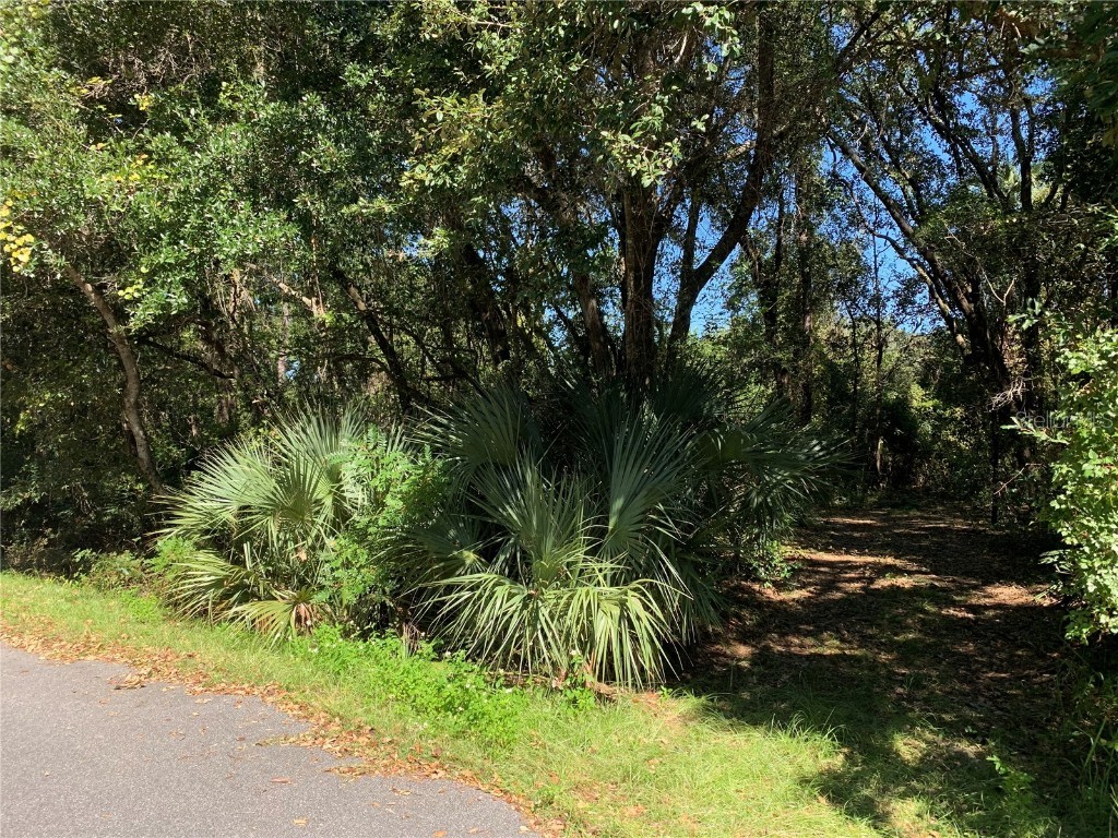 Lot 12 Oak Lane Way Ocala FL 34472 OM622659 image1