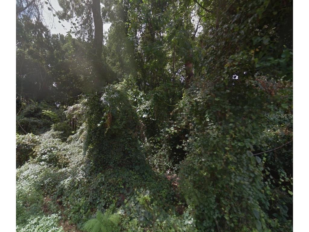 Lot 12 SE 126th Lane Belleview FL 34420 A4650877 image1