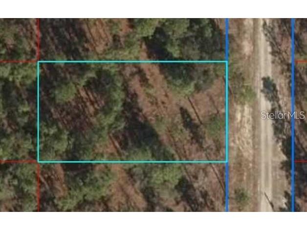 Lot 12 SE 136th Avenue Dunnellon FL 34431 OM704876 image3