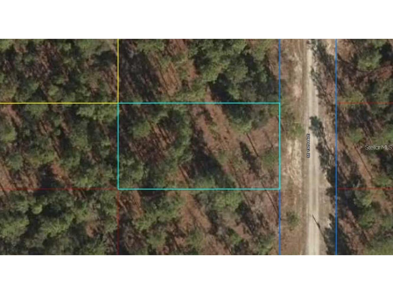 Lot 12 SE 136th Avenue Dunnellon FL 34431 OM704876 image4