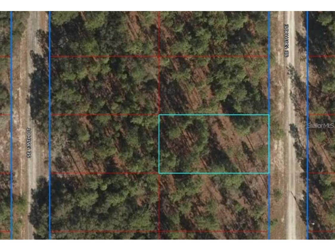 Lot 12 SE 136th Avenue Dunnellon FL 34431 OM704876 image5