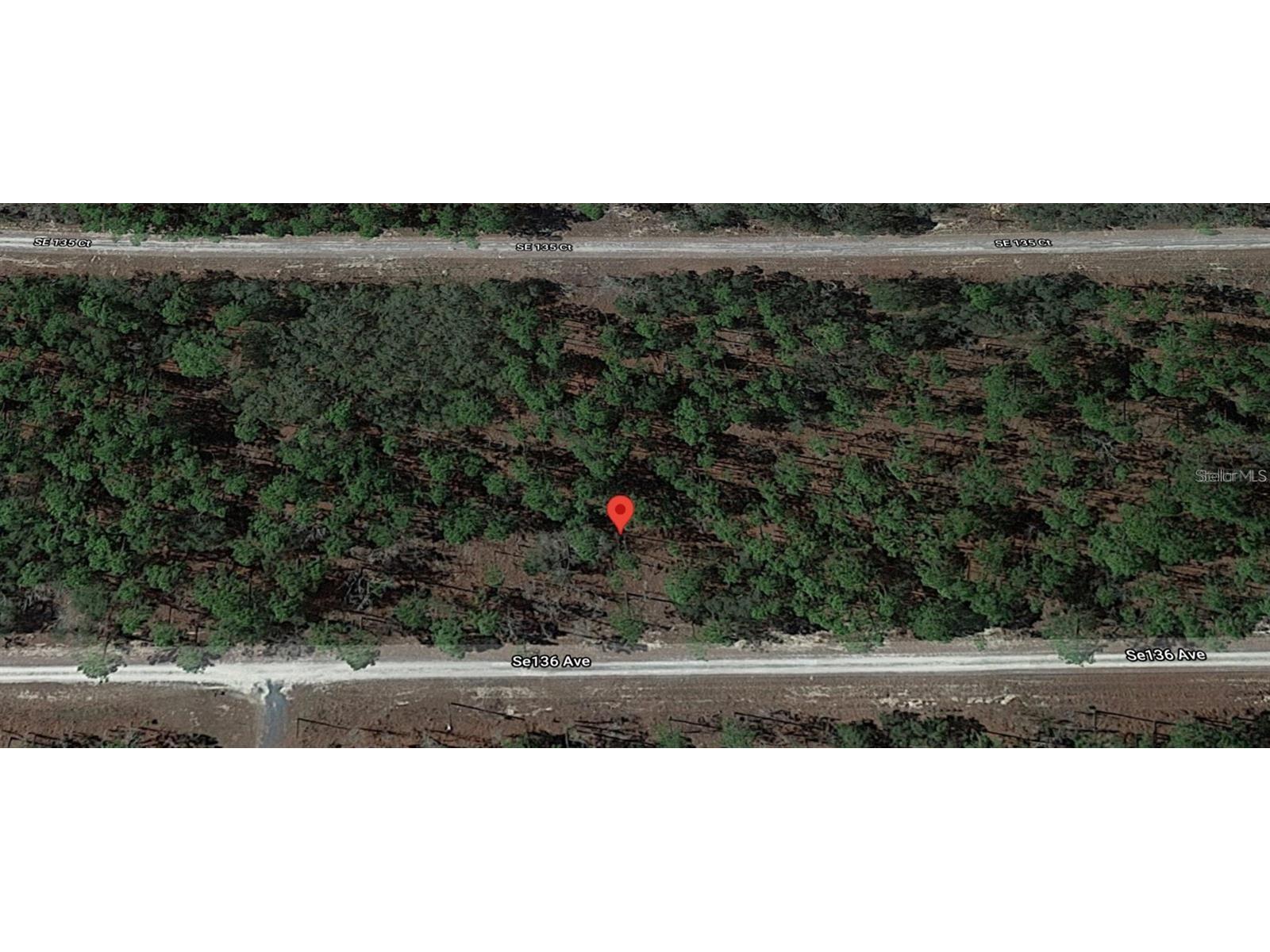 Lot 12 SE 136th Avenue Dunnellon FL 34431 OM704876 image6