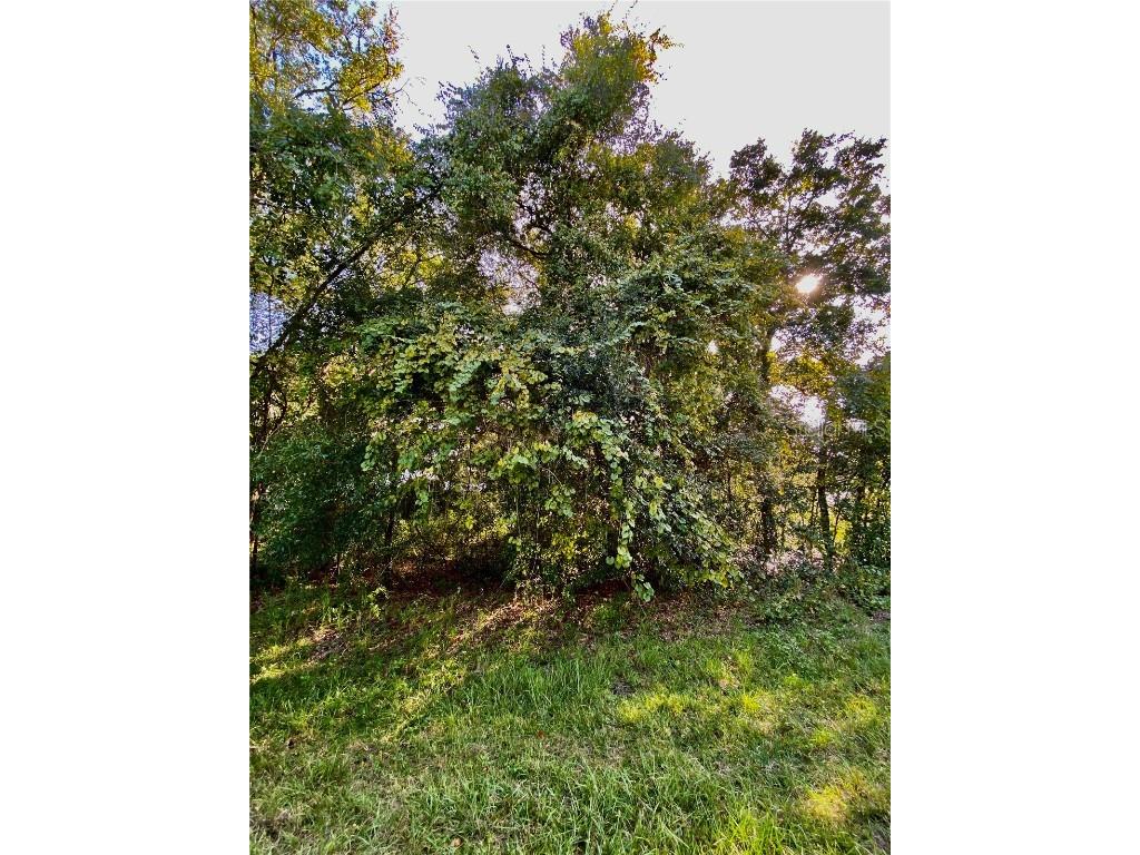 Lot 12 SW 192 Circle Dunnellon FL 34432 - RAINBOW RIVER OM665749 image1