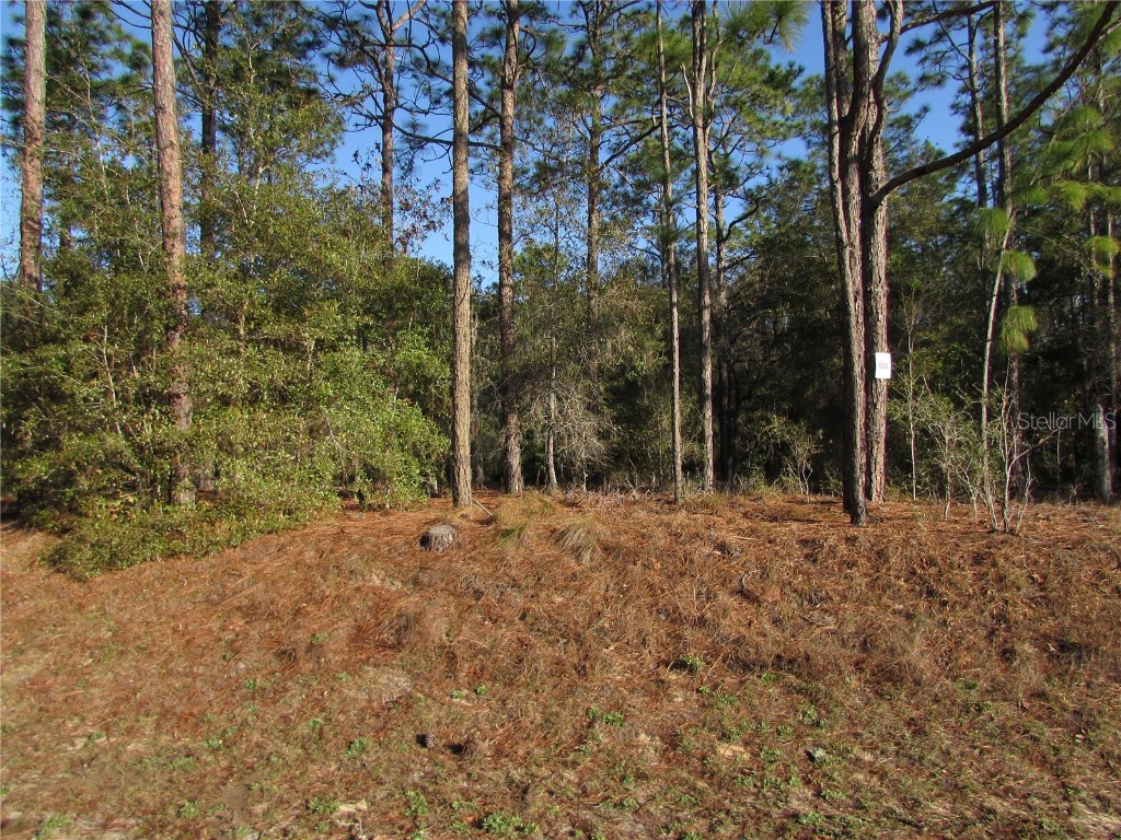 Lot 12 SW 68 Loop Dunnellon FL 34432 - RAINBOW RIVER OM695299 image1