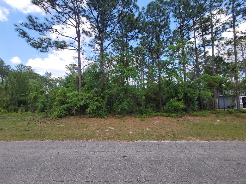 Lot 12 SW 80th Avenue Ocala FL 34473 OM677454 image1