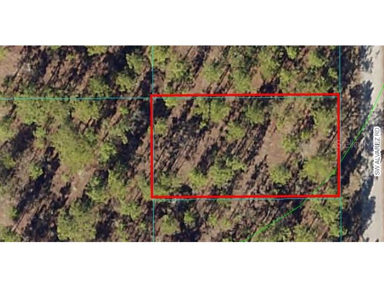 Lot 12 SW Alvarez Road Dunnellon FL 34431 OM642045 image1