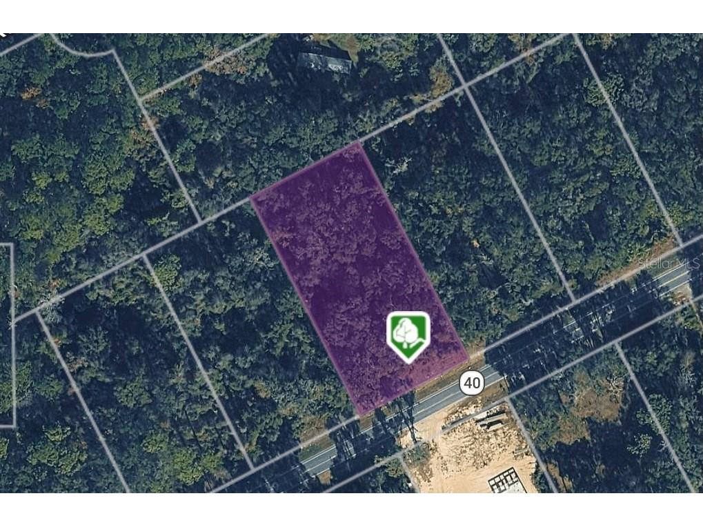 Lot 12 W Hwy 40 Ocala FL 34481 OM722900 image5