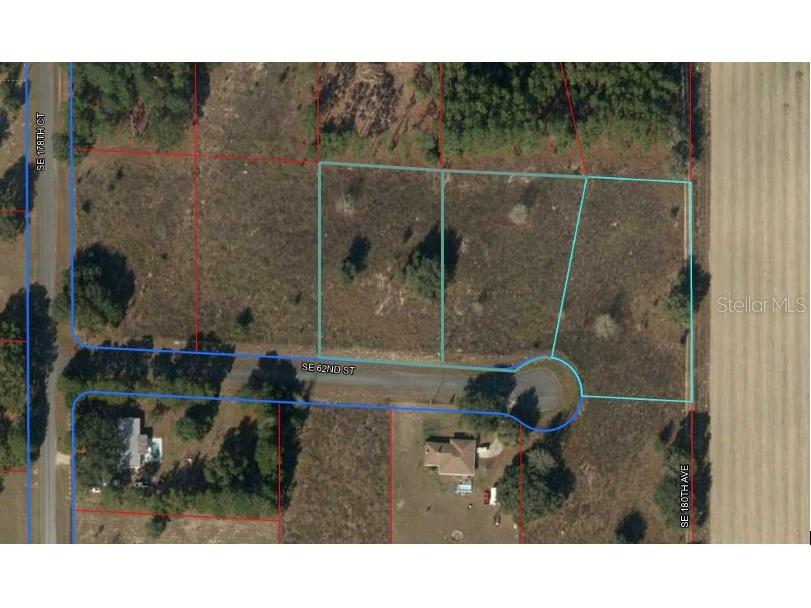 Lot 13 14 & 15 SE 62 Street Morriston FL 32668 OM677649 image1