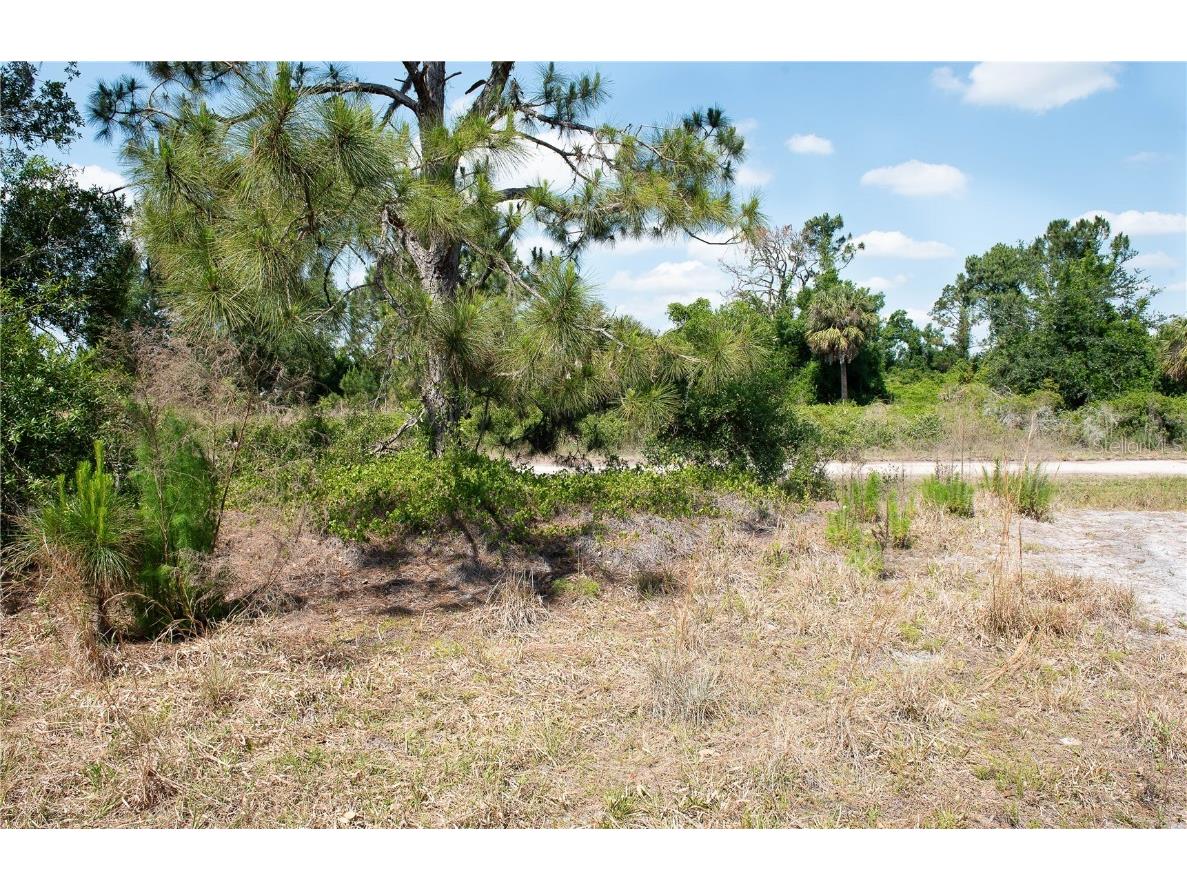 Lot 13 & 14 Constitution Drive North Port FL 34291 C7517404 image12