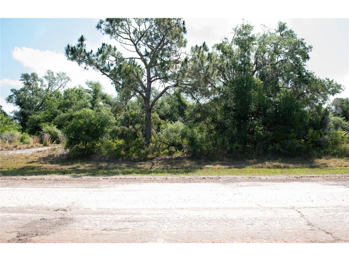 Lot 13 & 14 Constitution Drive North Port FL 34291 C7517404 image6