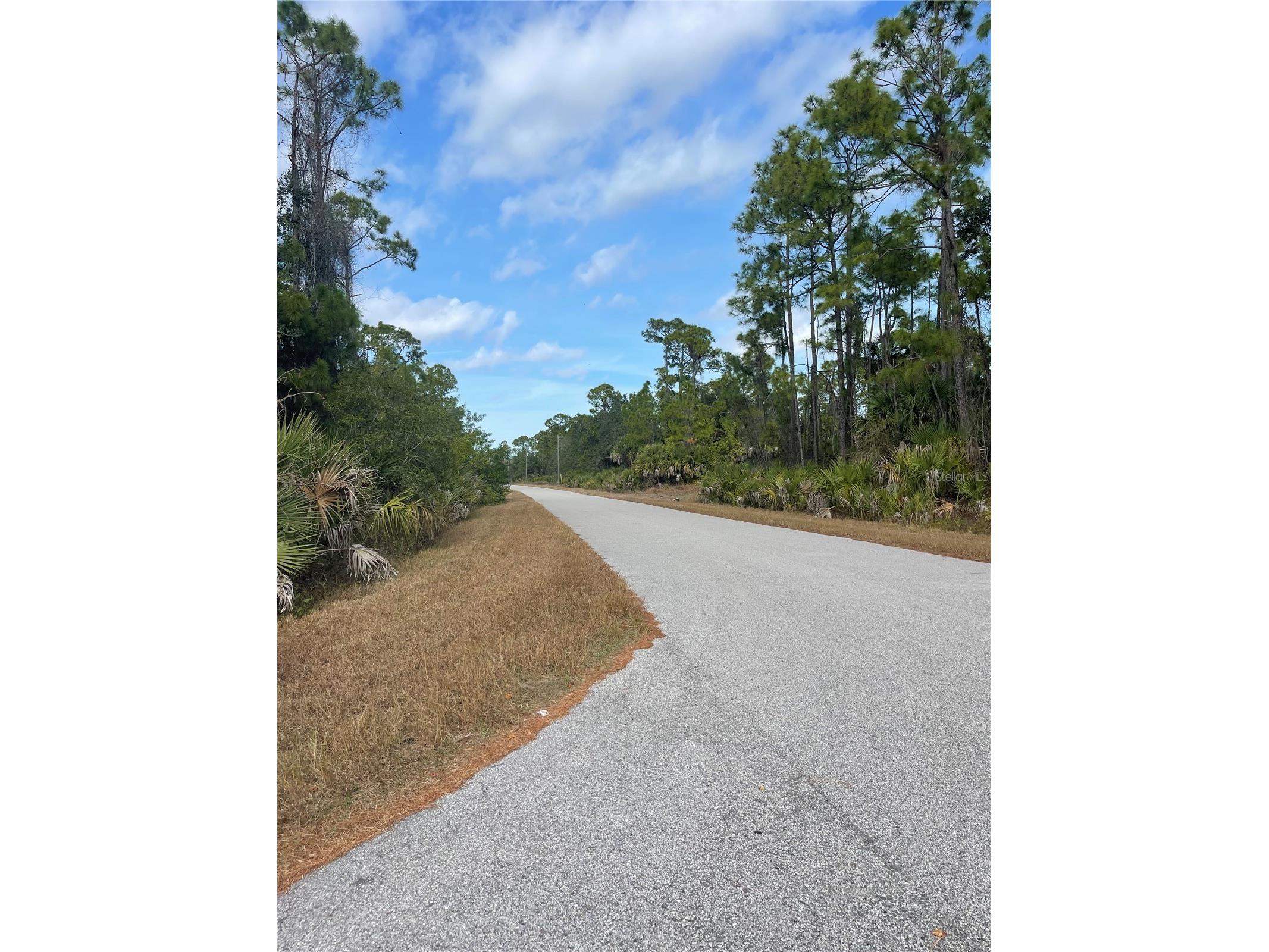 Lot 13 Bartlett Avenue North Port FL 34288 C7519957 image8