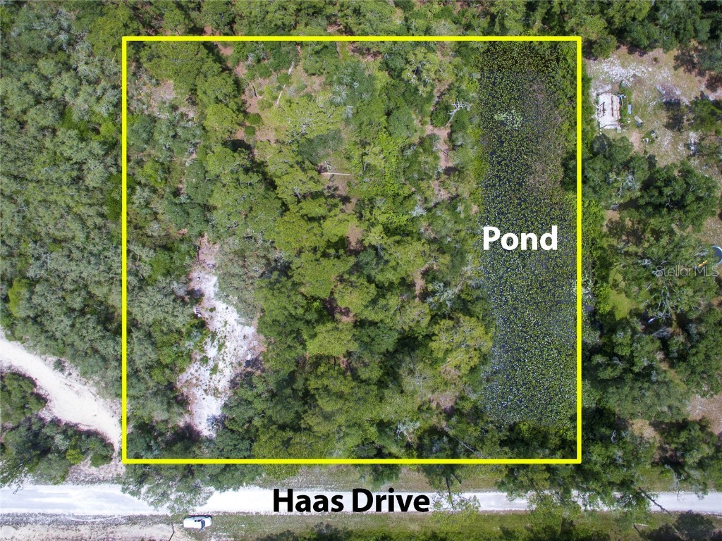 Lot 13 Haas Drive Webster FL 33597 U8201156 image1