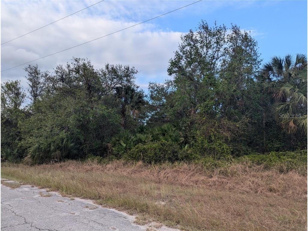 Lot 13 Mattox Circle North Port FL 34288 C7500266 image5