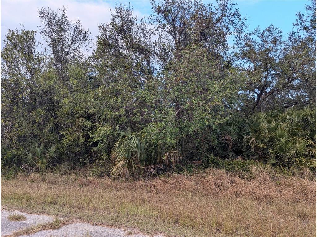 Lot 13 Mattox Circle North Port FL 34288 C7500266 image6