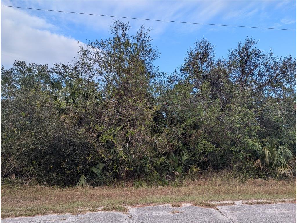 Lot 13 Mattox Circle North Port FL 34288 C7500266 image8