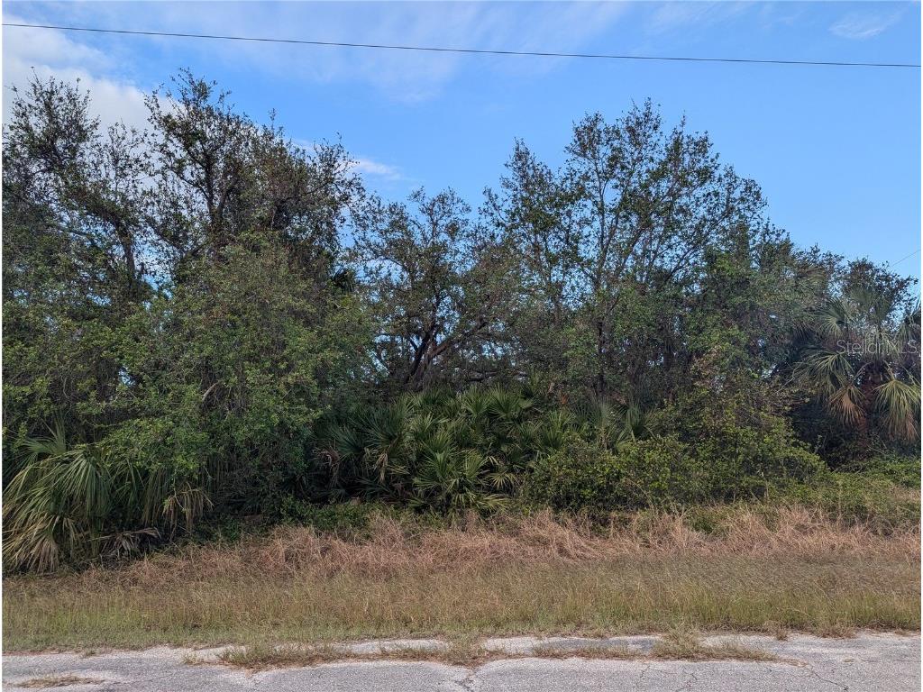 Lot 13 Mattox Circle North Port FL 34288 C7500266 image9