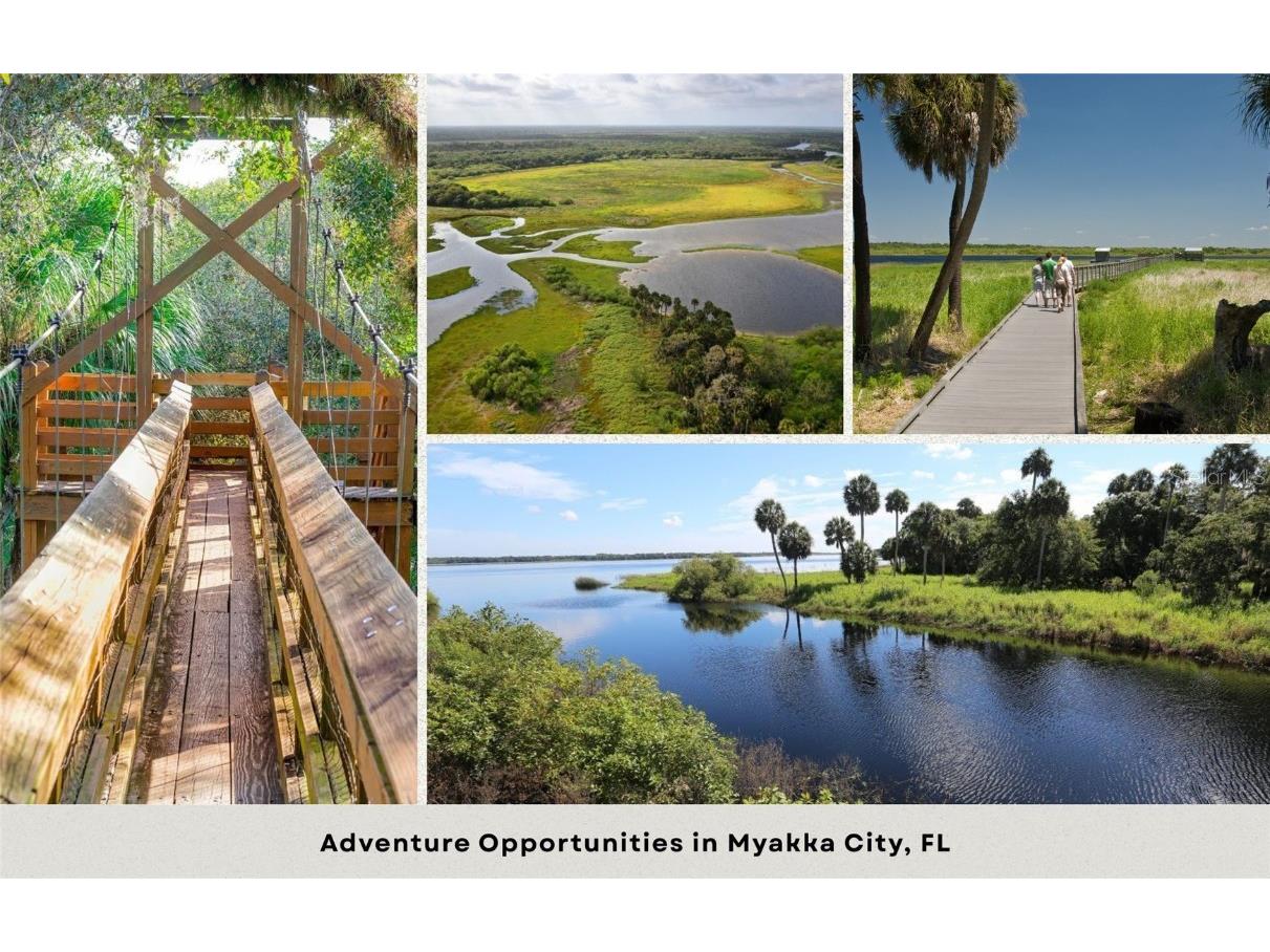 Lot 13 Midway Road Myakka City FL 34251 OM707299 image6