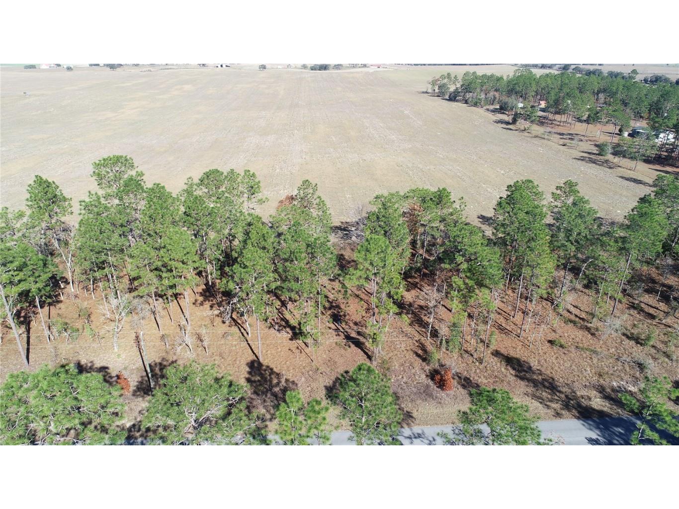 Lot 13 NE Falcon Avenue Dunnellon FL 34431 - Tiger Lake G5090652 image1