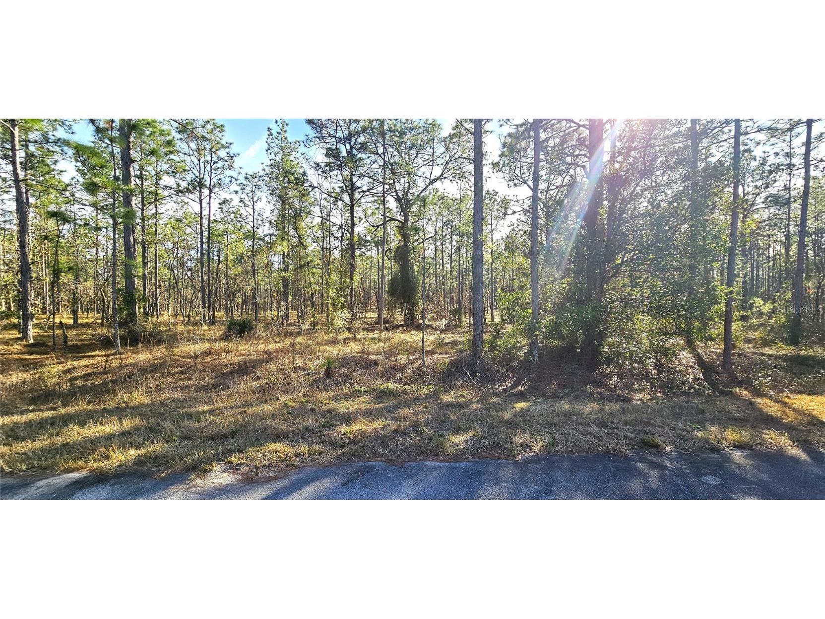 Lot 13 NW Mandrake Drive Dunnellon FL 34431 OM692223 image1
