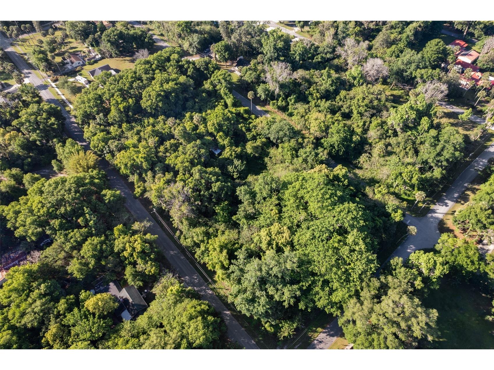 Lot 13 Quebec Avenue De Leon Springs FL 32130 V4947193 image4