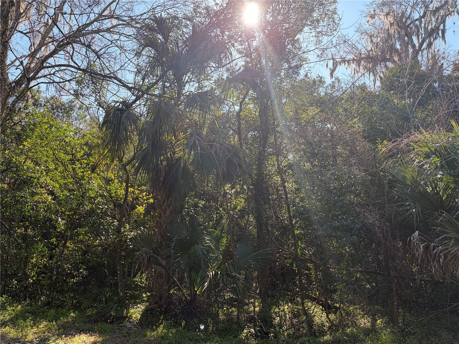 Lot 13 Quebec Avenue De Leon Springs FL 32130 V4947193 image5