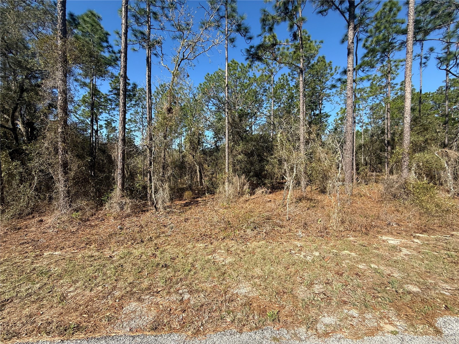 Lot 13 SE 129 Court Dunnellon FL 34431 TB8483901 image1