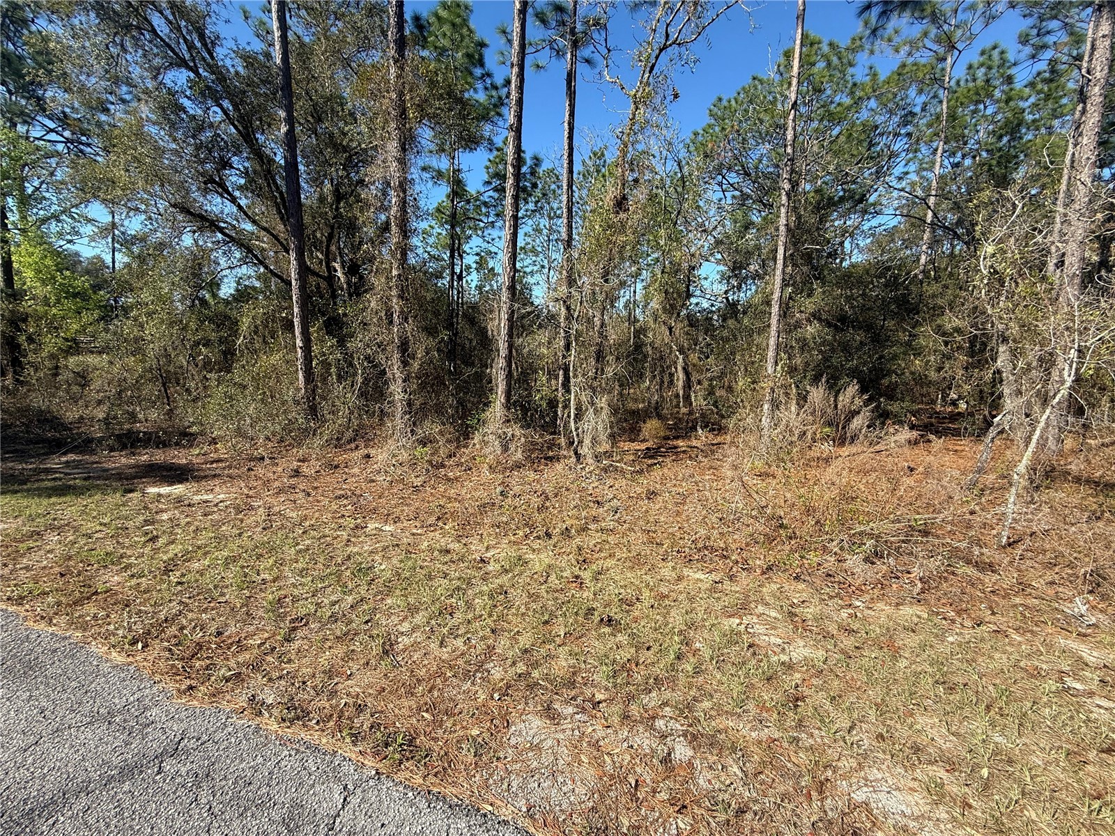 Lot 13 SE 129 Court Dunnellon FL 34431 TB8483901 image3