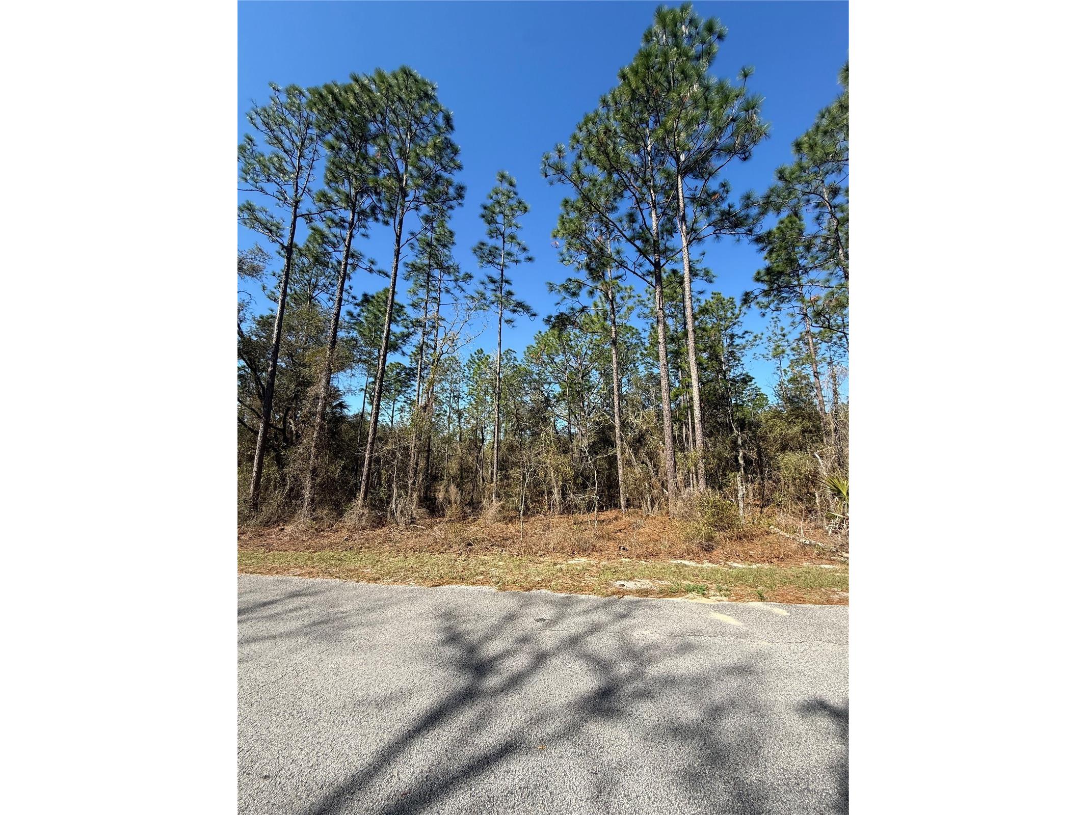 Lot 13 SE 129 Court Dunnellon FL 34431 TB8483901 image4