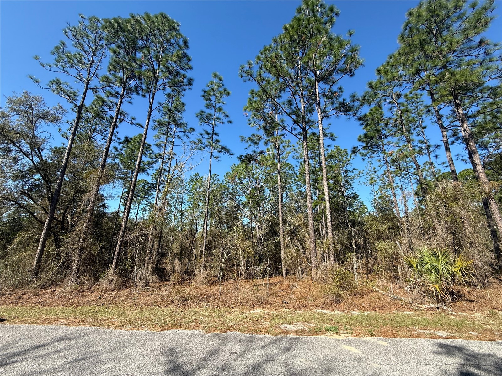 Lot 13 SE 129 Court Dunnellon FL 34431 TB8483901 image5