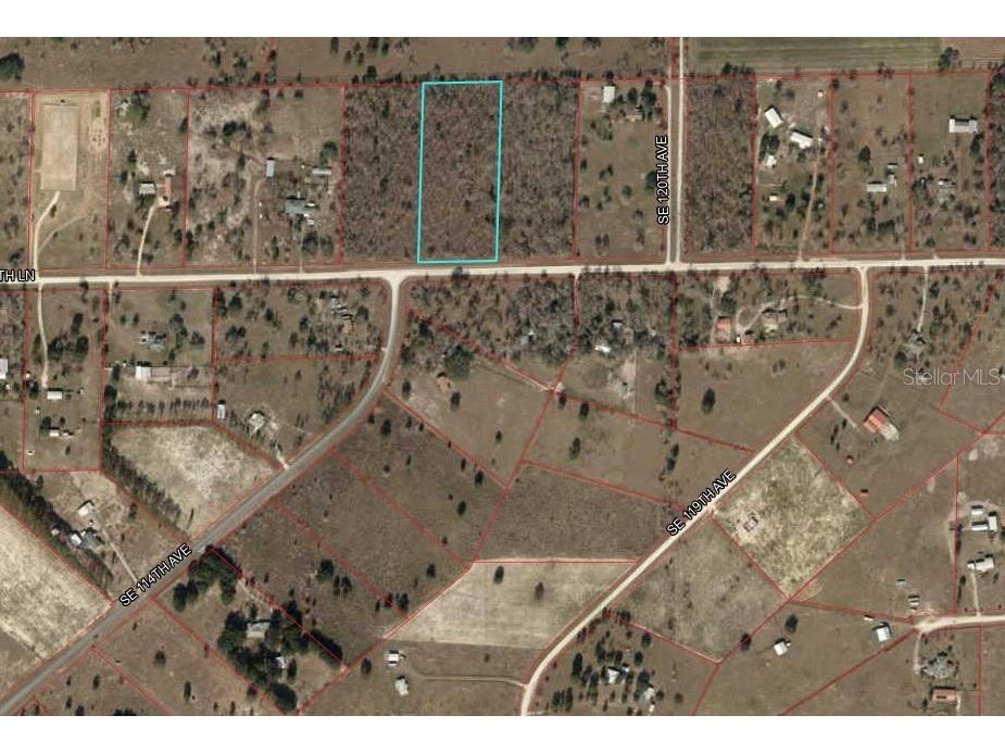 Lot 13 SE 16 Lane Morriston FL 32668 OM688625 image1