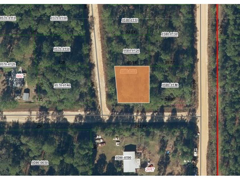 Lot 13 Selma Avenue Interlachen FL 32148 OM696594 image1