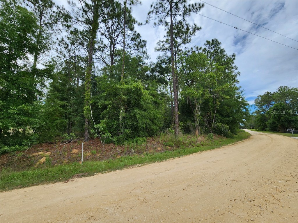 Lot 13 SW 125 Avenue Ocala FL 34481 OM680250 image1
