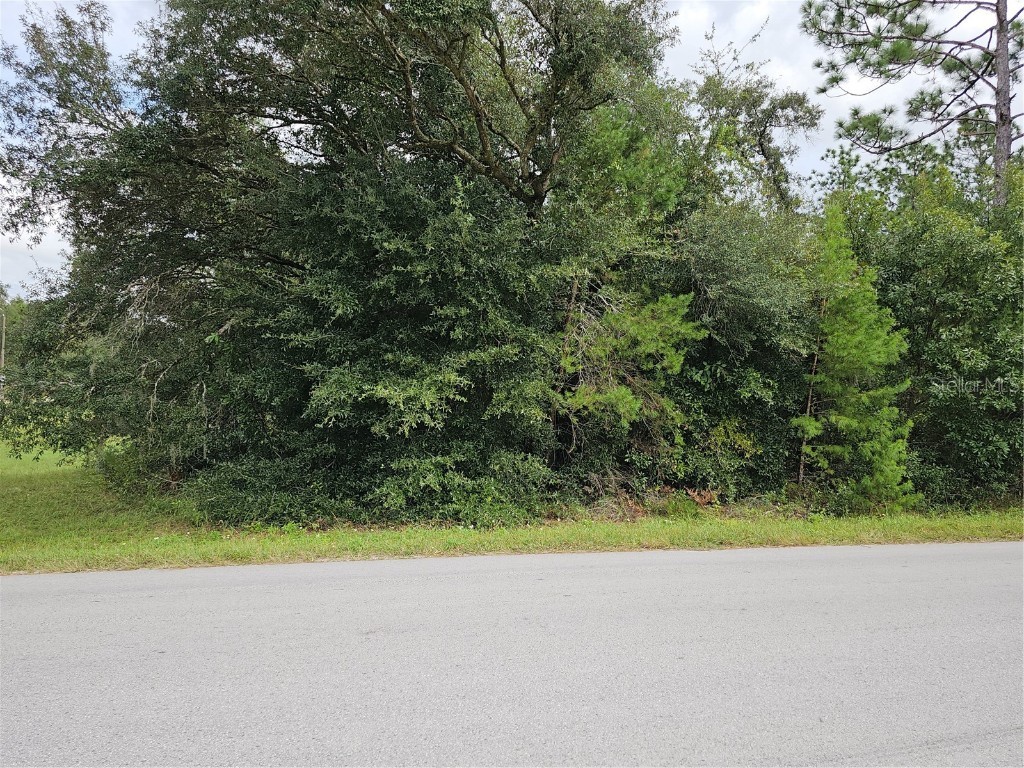Lot 13 SW 156th Court Ocala FL 34481 OM687315 image1