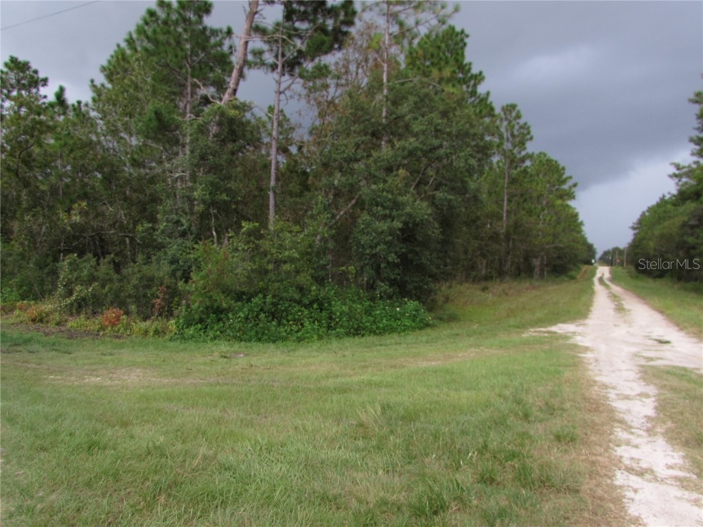 Lot 13 SW 78th Place Dunnellon FL 34432 OM685614 image1