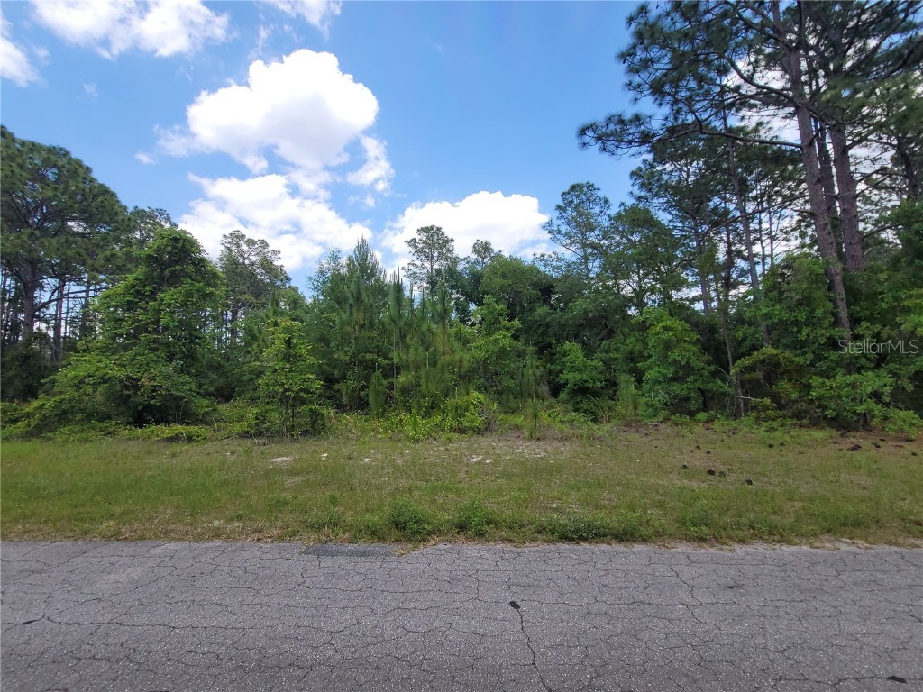 Lot 13 SW 80th Avenue Ocala FL 34473 OM677455 image1