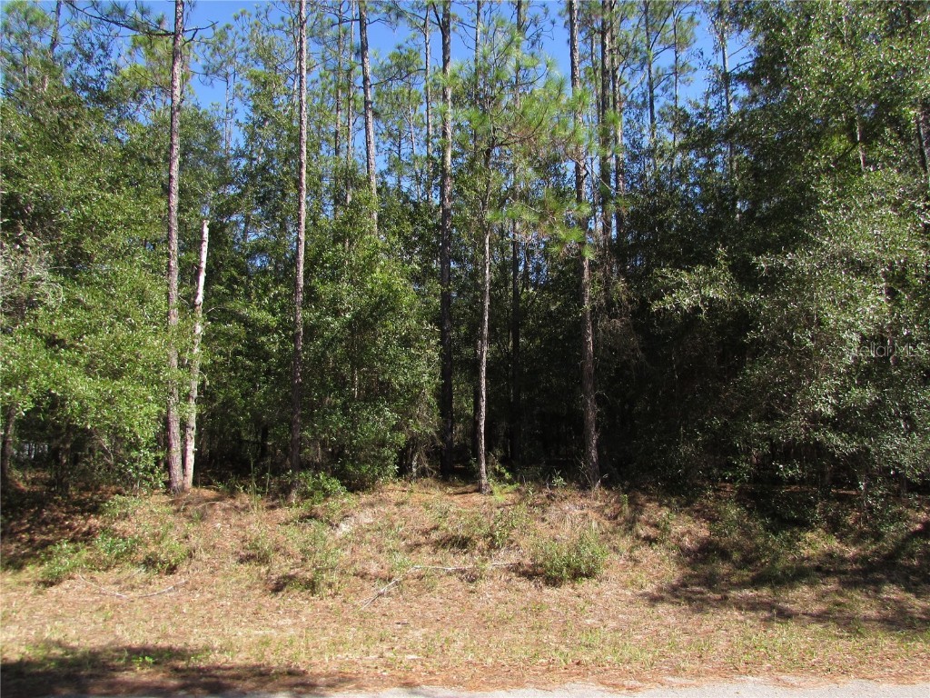 Lot 13 SW 87th Loop Dunnellon FL 34431 - RAINBOW RIVER OM711539 image1