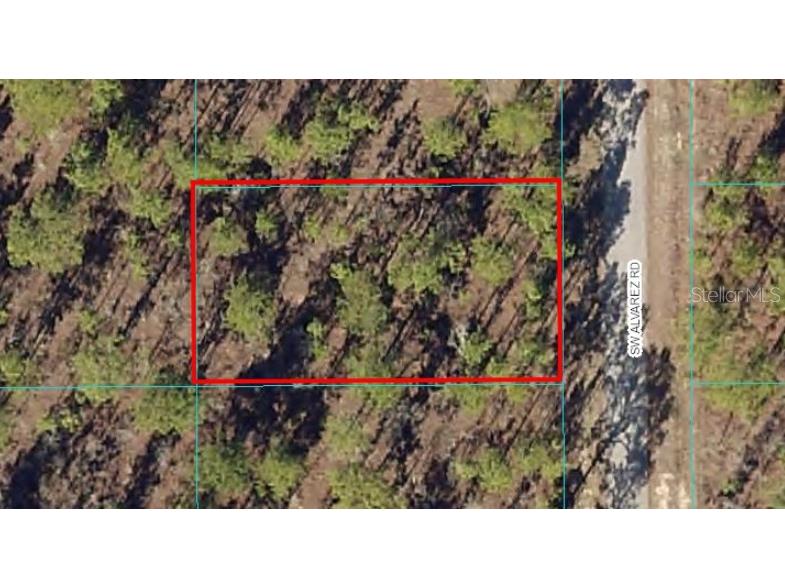 Lot 13 SW Alvarez Road Dunnellon FL 34431 OM642078 image1