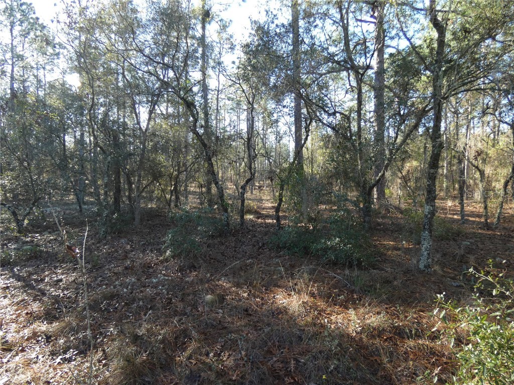 Lot 13 SW Neptune Boulevard Dunnellon FL 34432 OM672377 image1